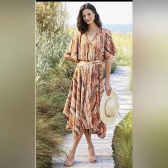 Soft Surroundings Cyra Patterned Midi Dress 1X - Picture 1 of 6